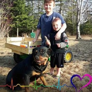 Meet your Posher, Carla